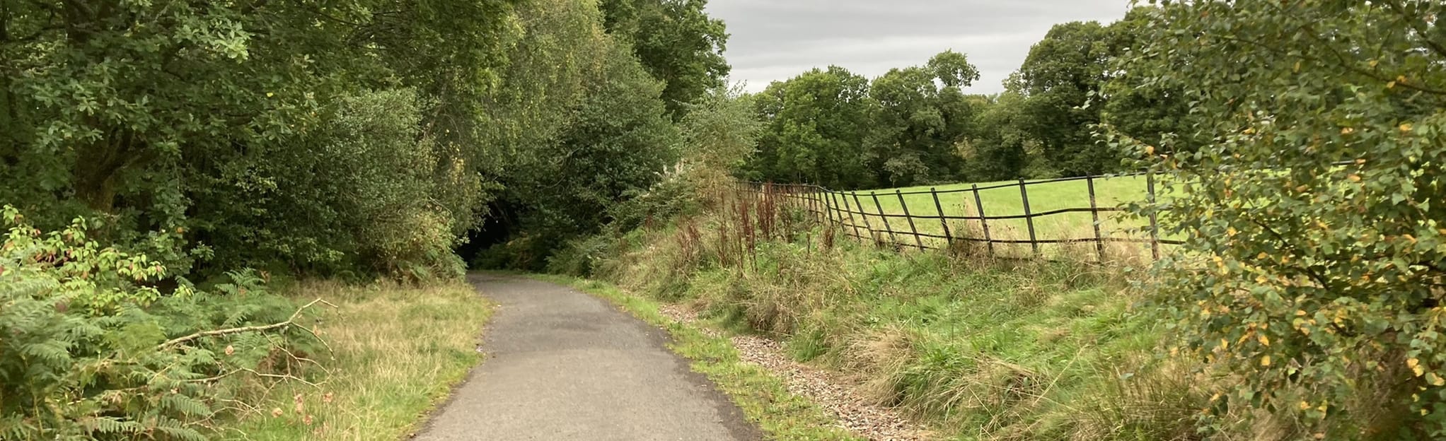 Dumbarton and Brown Hill Circular 12 Reviews, Map West