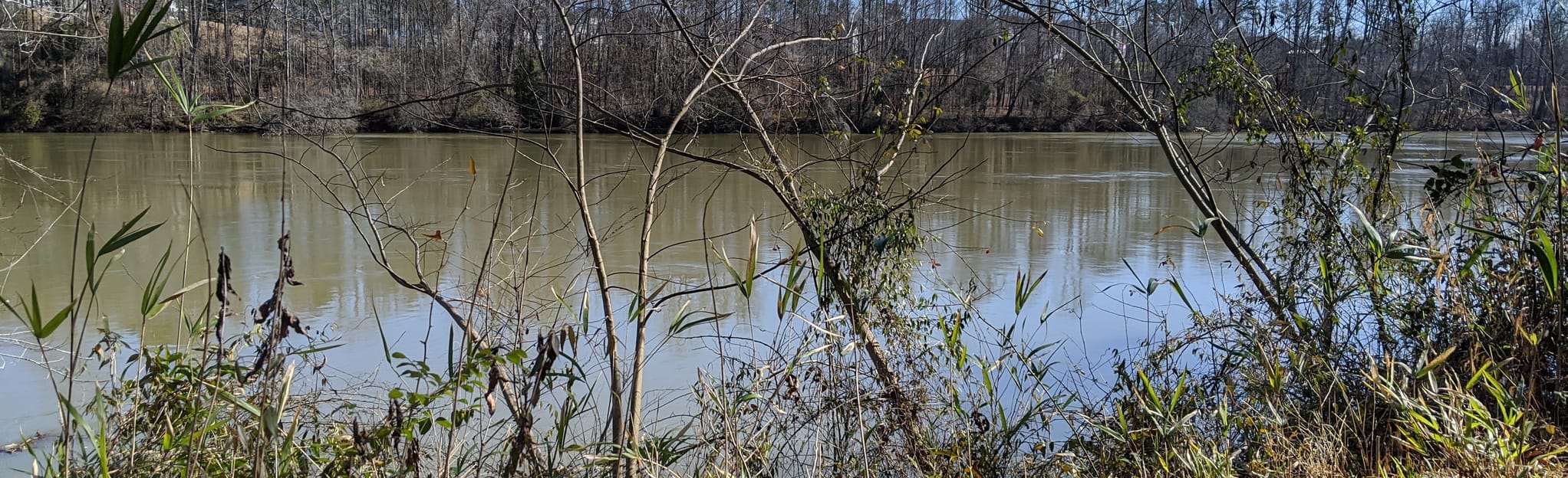 Westminster Park Trail, South Carolina 63 Reviews, Map AllTrails