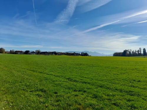 Simssee Rundweg von Schwabering
