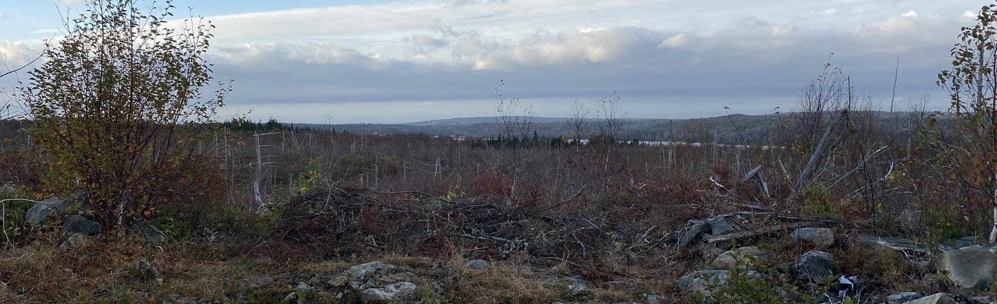 Old Mineville Road, Nova Scotia, Canada 12 Reviews, Map AllTrails