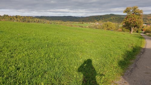 Zwischen Birkmannsweiler und Öschelbronn