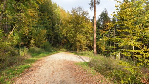 Zwischen Birkmannsweiler und Öschelbronn