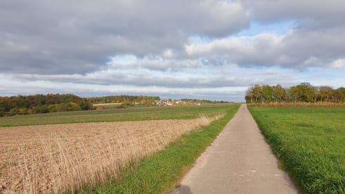 Zwischen Birkmannsweiler und Öschelbronn
