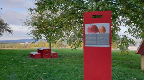 Zwischen Birkmannsweiler und Öschelbronn
