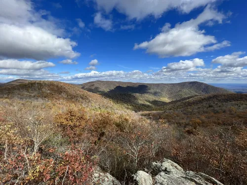 10 Best Wildlife Trails in Shenandoah National Park