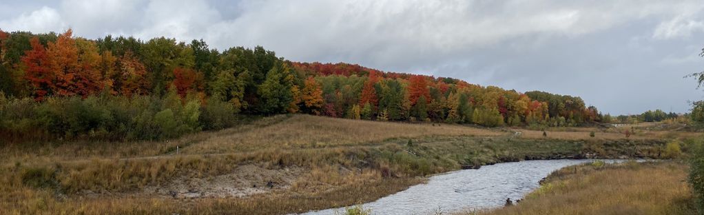 Lone Pine and Keystone Rapids Trail: 363 Reviews, Map - Michigan