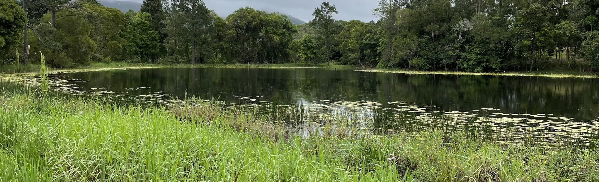 Kin Kin Noosa Loop Queensland, Australia AllTrails
