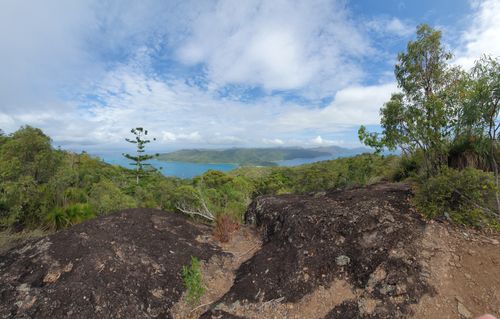 are dogs allowed on hamilton island