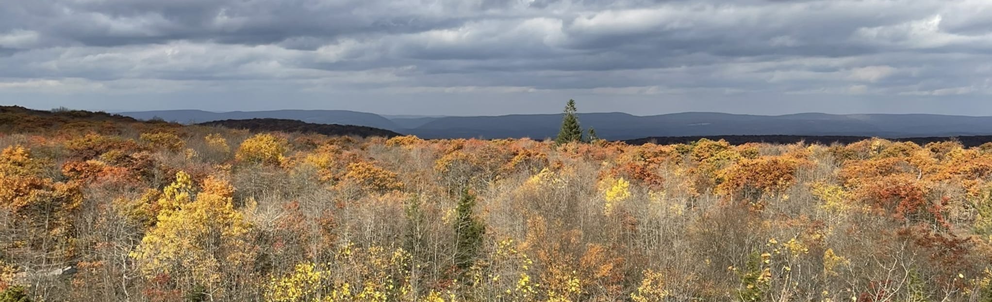 Mount Davis Pennsylvania Highpoint Trail 554 Reviews, Map