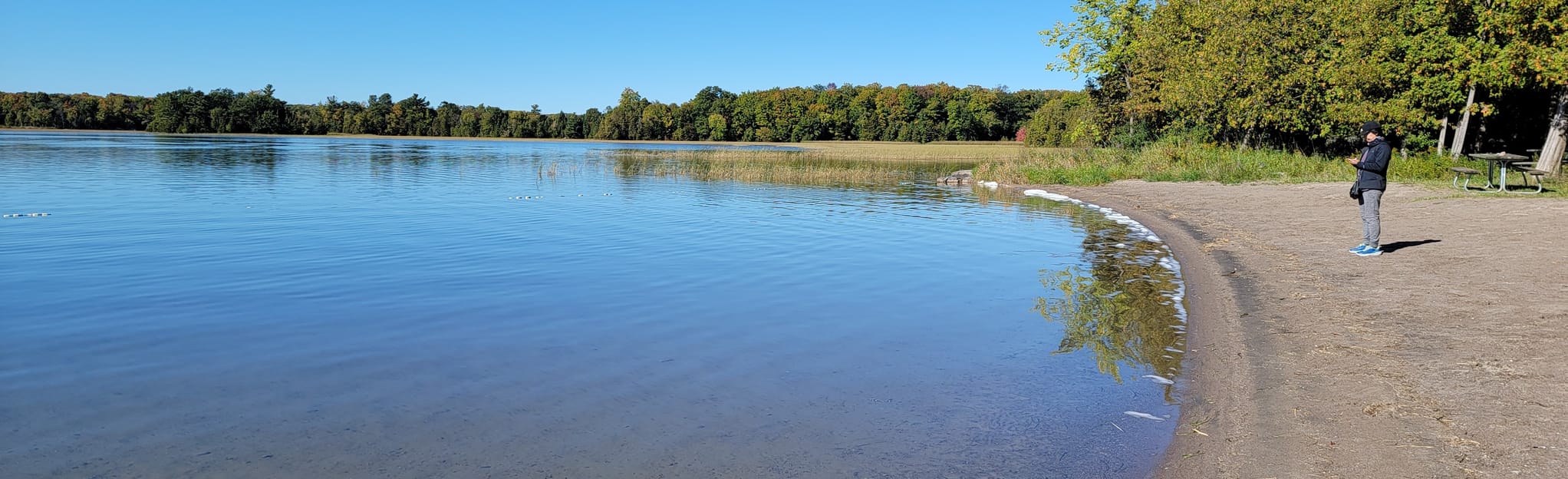 Selwyn Beach Conservation Area, Ontario, Canada 164 Reviews, Map AllTrails