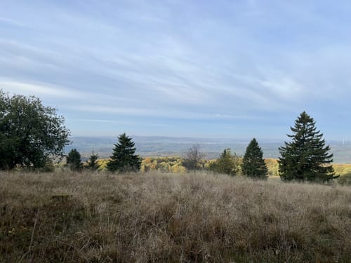Hoher Meißner P1 (Premiumwanderweg)