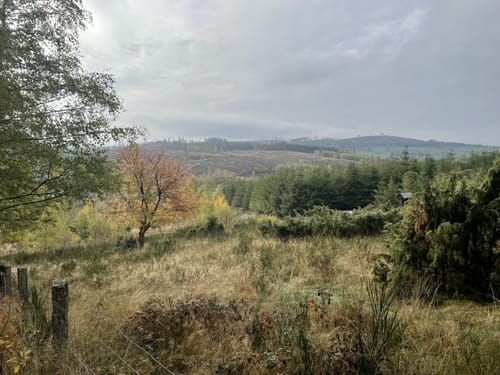 Via Celtica (Premiumwanderweg:)