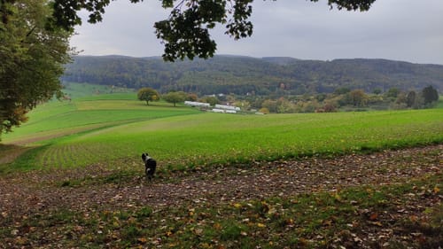 Über die Felder von Brandau nach Herchenrode