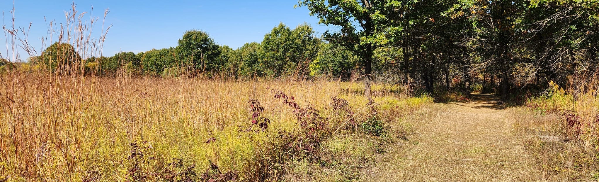 Braidwood Dunes and Savanna Loop Illinois AllTrails