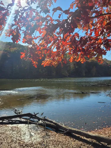 10 Best Hikes and Trails in Brown - EyJidWNrZXQiOiJhc3NldHMuYWxsdHJhaWxzLmNvbSIsImtleSI6InVwbG9hZHMvcGhvdG8vaW1hZ2UvNTM0NDA0ODUvNjc4MTMwMTkzZmQwMjYyMmI1YWI4OWYzNWFlMmM4NWEuanBnIiwiZWRpdHMiOnsidG9Gb3JtYXQiOiJ3ZWJwIiwicmVzaXplIjp7IndpZHRoIjo1MDAsImhlaWdodCI6NTAwLCJmaXQiOiJpbnNpZGUifSwicm90YXRlIjpudWxsLCJqcGVnIjp7InRyZWxsaXNRdWFudGlzYXRpb24iOnRydWUsIm92ZXJzaG9vdERlcmluZ2luZyI6dHJ1ZSwib3B0aW1pc2VTY2FucyI6dHJ1ZSwicXVhbnRpc2F0aW9uVGFibGUiOjN9fX0=