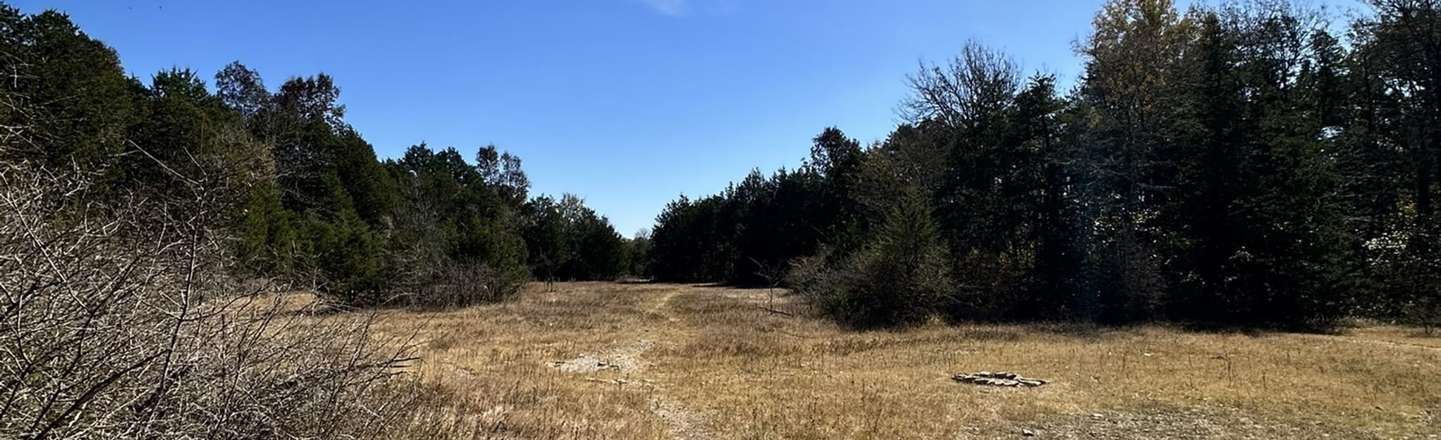 Hidden Springs Trail 1179 Reviews, Map Tennessee AllTrails