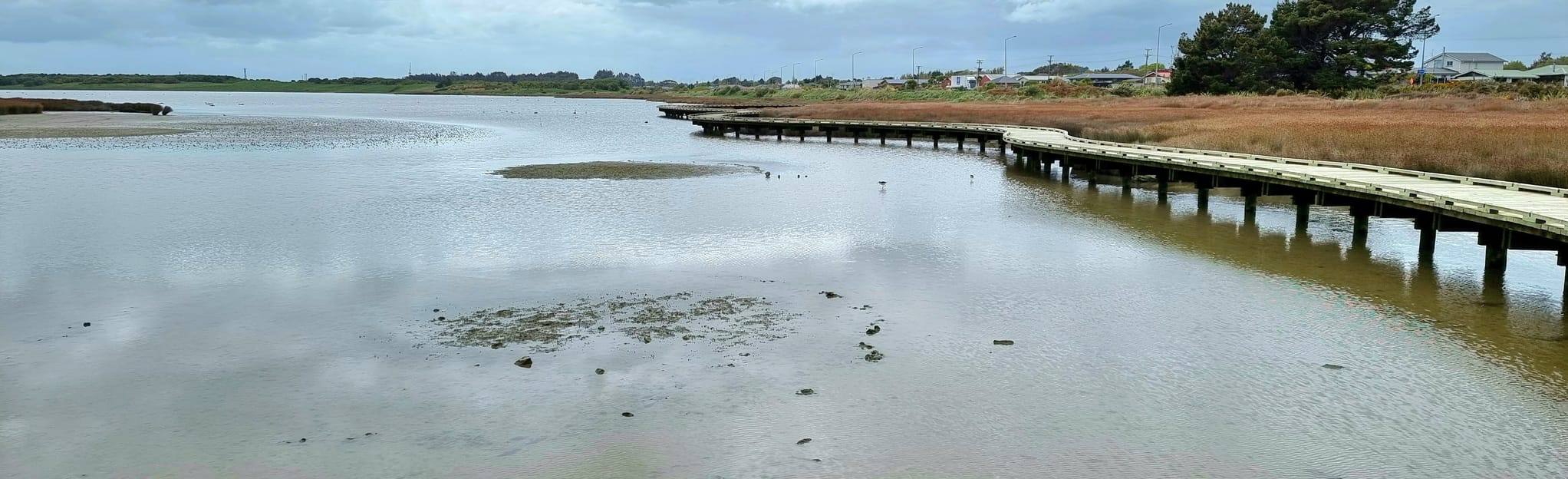 Invercargill Estuary Walkway 33 Reviews, Map Southland, New Zealand AllTrails