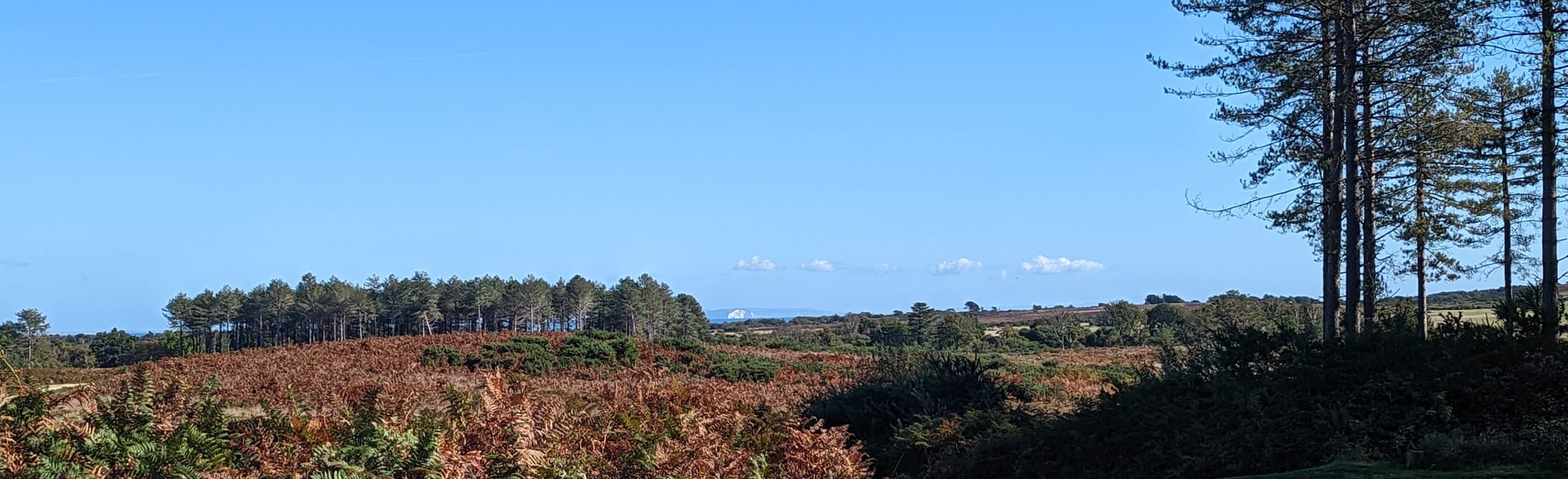 Rempstone and Randall's Plantation: 23 fotos - Dorset, Inglaterra ...