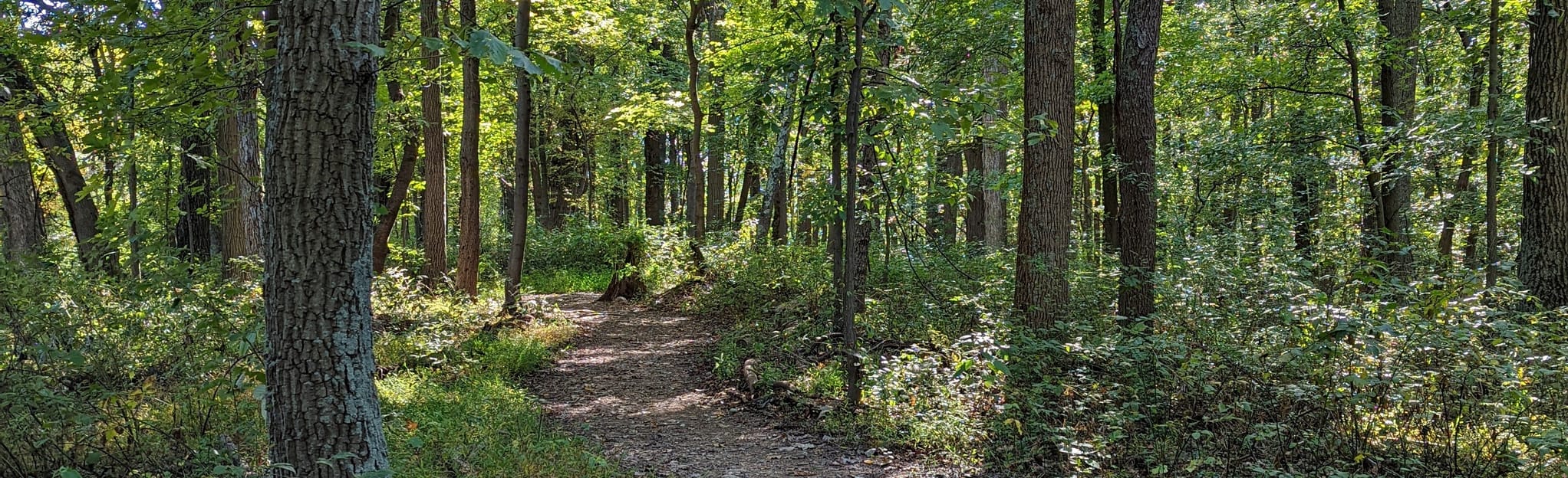 Woodland Trail, Maryland 51 Reviews, Map AllTrails