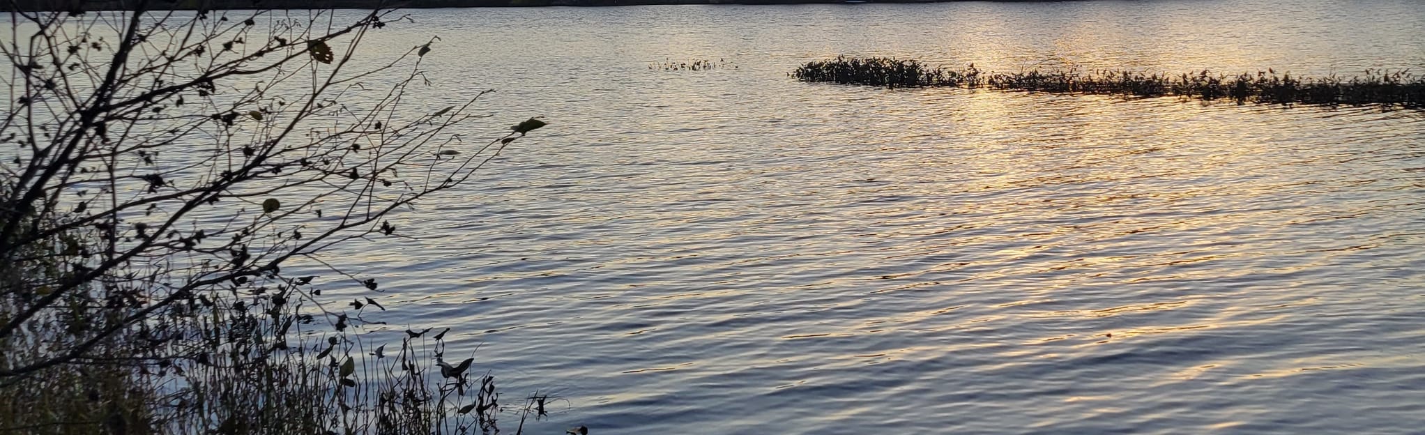 Hooksett Riverwalk Trail 104 Reviews, Map New Hampshire AllTrails