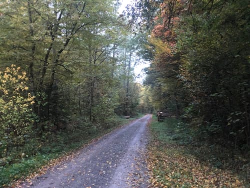 Großspach - Hardtwald - Steinhausen