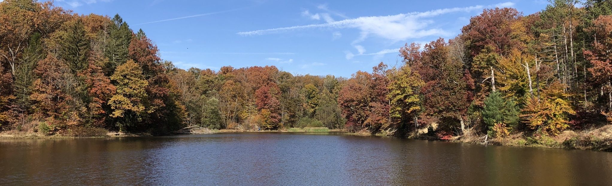 Strahl Lake Trail via Trail 6 - Indiana | AllTrails