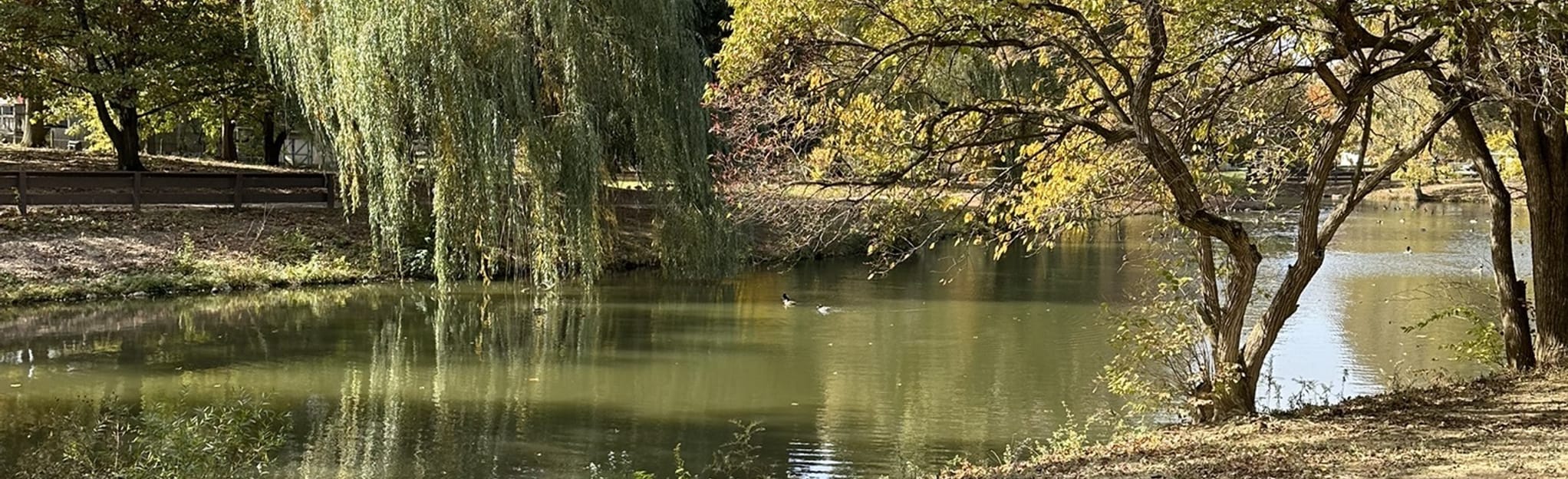 Sycamore Creek Park Loop Ohio AllTrails
