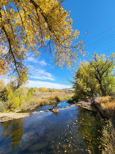 Best Hikes and Trails in Bear Creek Lake Regional Park | AllTrails