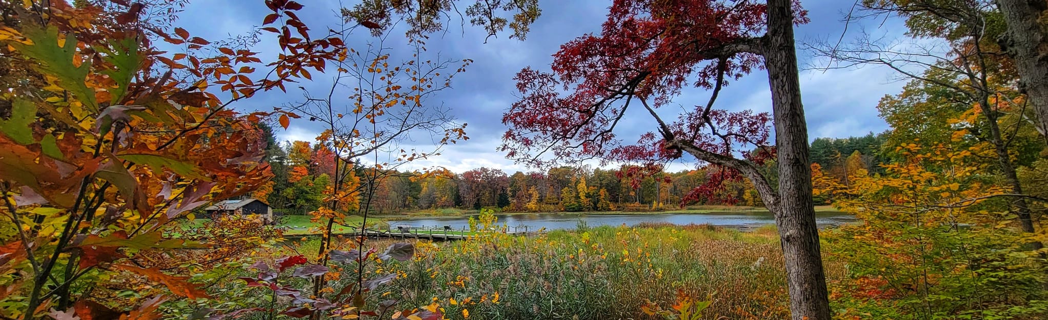 Kendall Lake Loop 755 Reviews, Map Ohio AllTrails