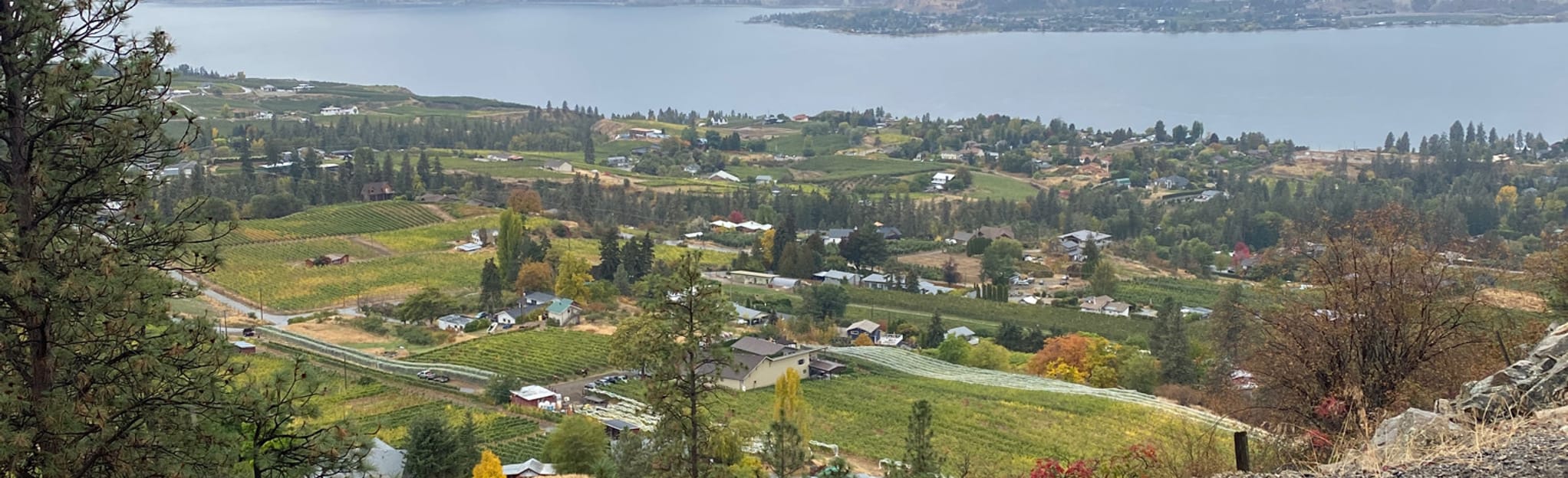 Kettle Valley Rail Trail to Naramata via Chute Lake Road 37 Reviews