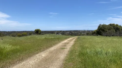 Sturt gorge online mtb