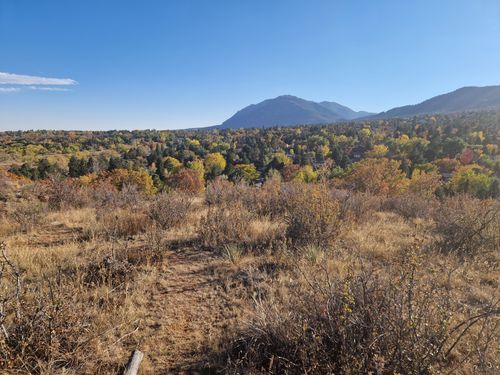 bear creek dog park colorado springs