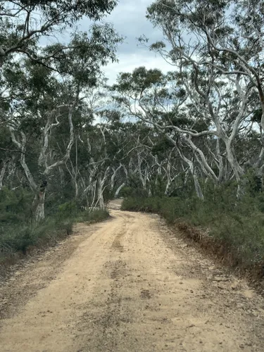 mountain bike trails blue mountains