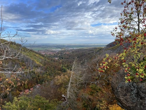 Durch das Ilsetal