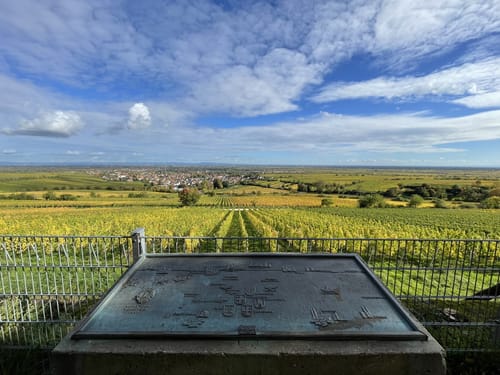 Deidesheim Highlights