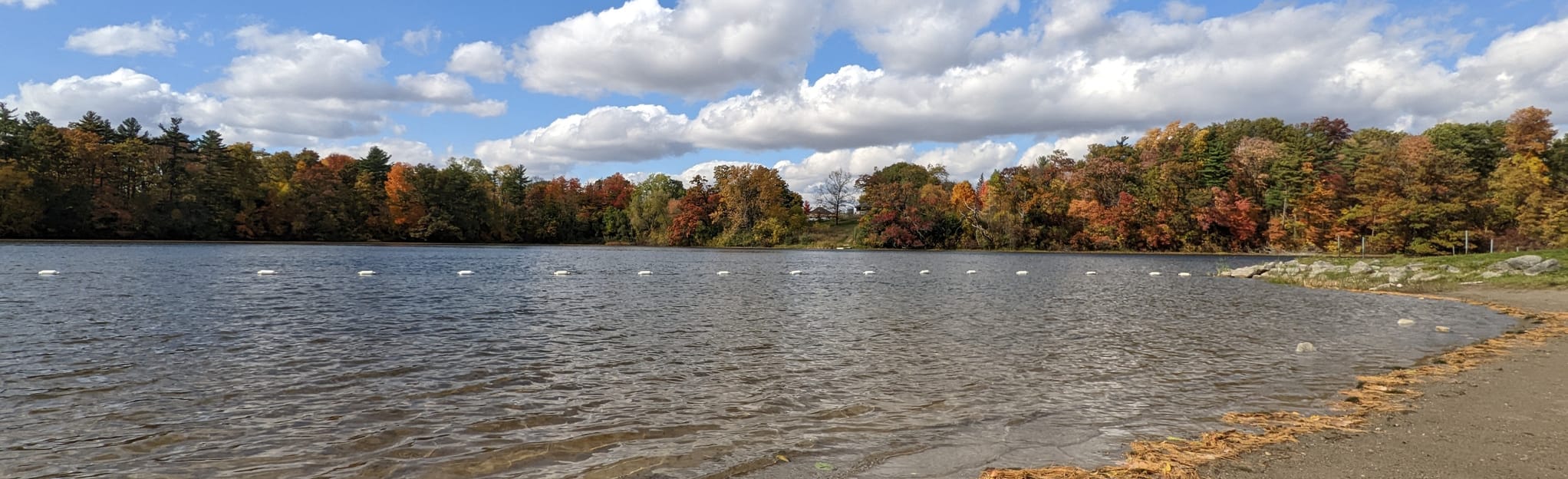 Pinehurst Beach Trail, Ontario, Canada 13 Reviews, Map AllTrails