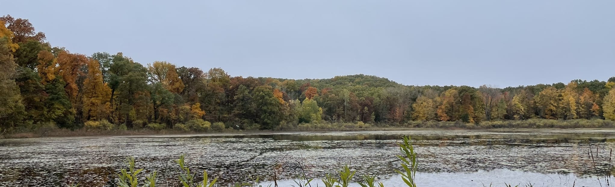 Park Lyndon Yellow Trail, Green Trail, and Blue Trail Loop 260 Reviews, Map Michigan AllTrails