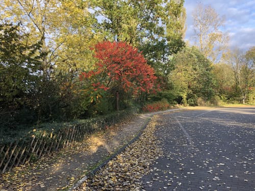 Rundstrecke um den Toeppersee und Tegge in Duisburg Rheinhausen