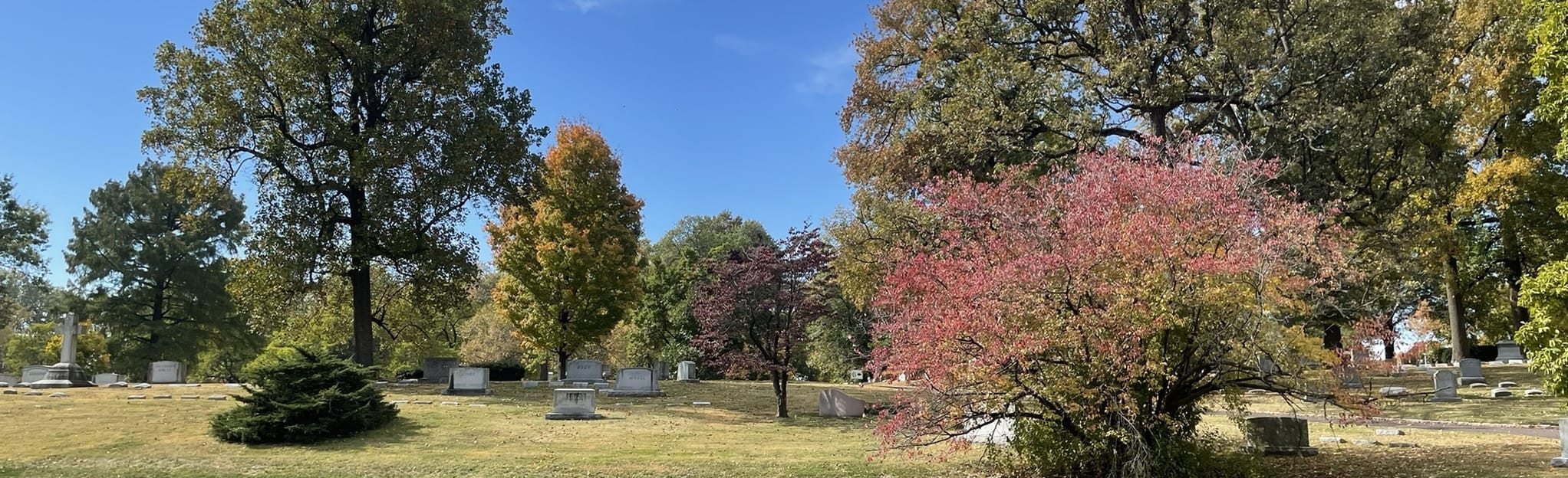 Bellefontaine Historic Loop Trail, Missouri 12 Reviews, Map AllTrails
