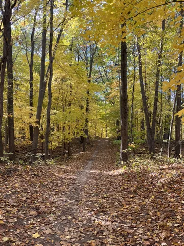 Best Mountain Biking Trails in Stony Creek Metropolitan Park