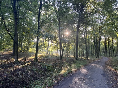 MTB-Runde: Duisburg Stadtwald und 6-Seenplatte