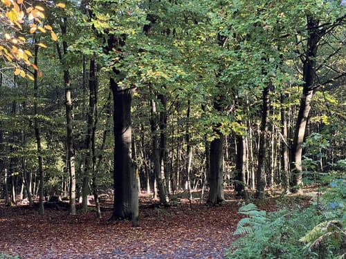 MTB-Runde: Duisburg Stadtwald und 6-Seenplatte