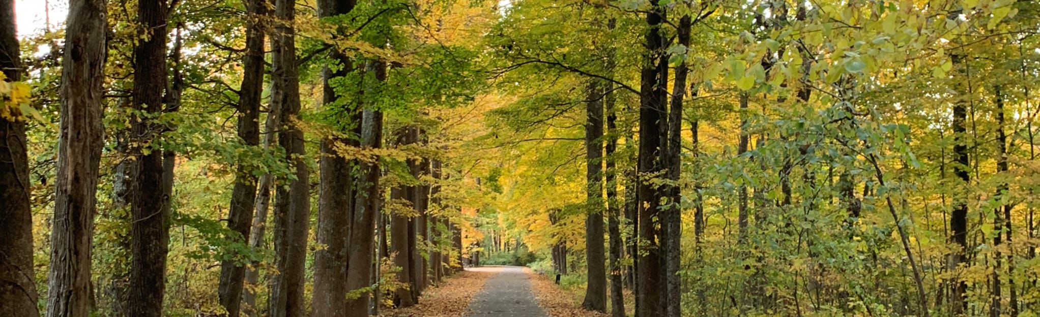 Clifty Falls Trail 2 and Trail -