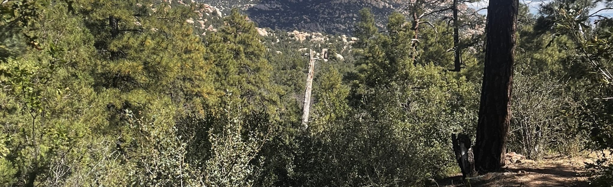 GMB Clark’s Spring Trail 40 82 Reviews, Map Arizona AllTrails