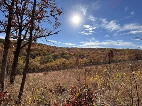 Meramec state clearance park wilderness trail