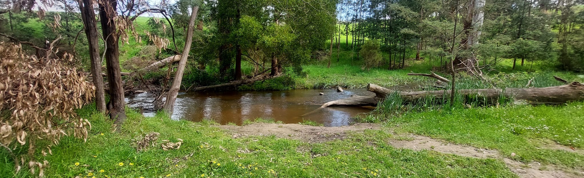 Rokeby Flora Reserve, Victoria, Australia 6 Reviews, Map AllTrails