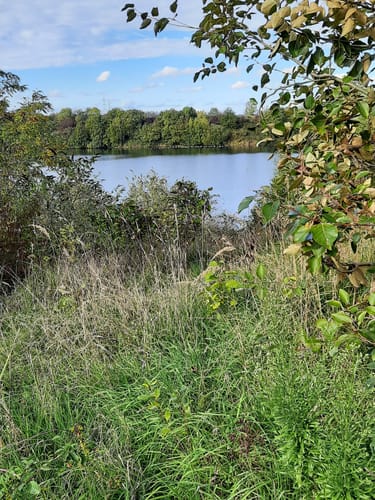 Rund um die Seen bei Pulheim