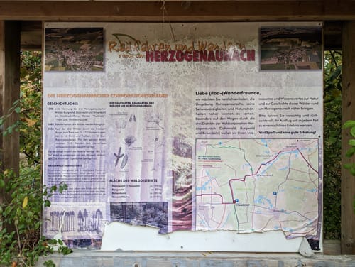 Rundwanderweg Gelb 1: Im Birkenbühl