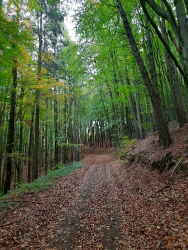 A2 - Südwanderweg