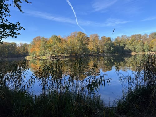 Grumsin - Großer Schwarzer See - Kleiner Grumsinsee